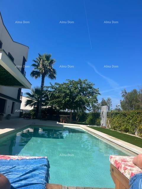 Entspannter Poolbereich mit Liegestühlen und Palmen unter strahlend blauem Himmel.