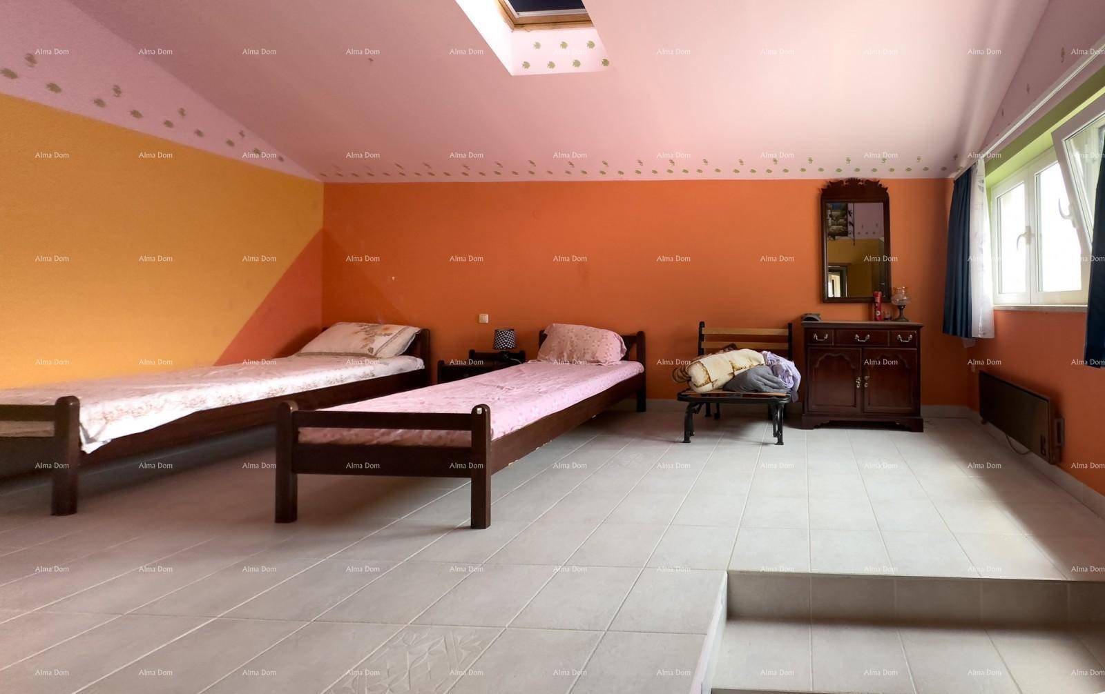 Großes Schlafzimmer mit zwei Einzelbetten, farbigen Wänden, Dachfenster und Fliesenboden.