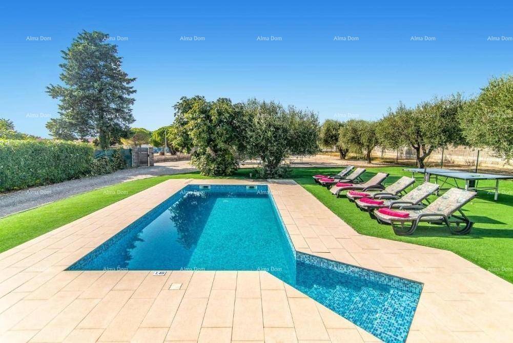 Rechteckiger Swimmingpool mit gefliestem Beckenrand, umgeben von Kunstrasen und Sonnenliegen.