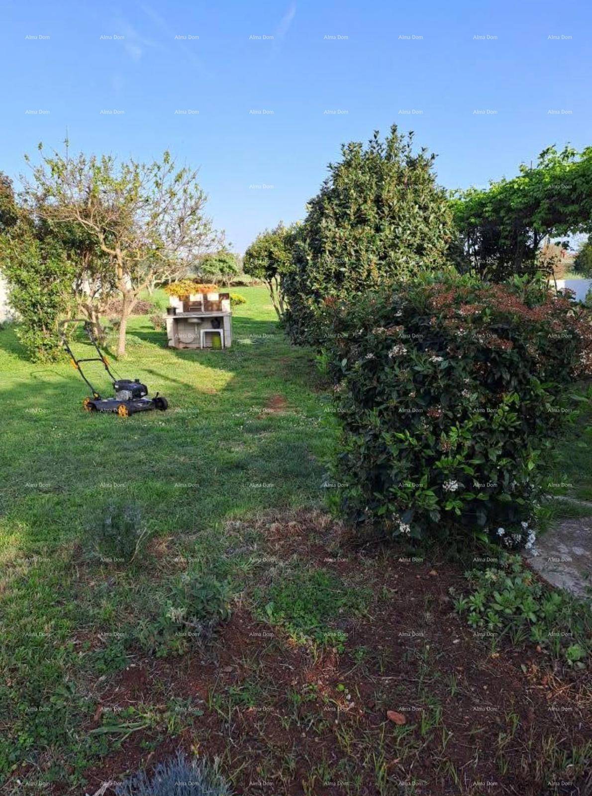 Weitläufiger Gartenbereich mit Rasen, Sträuchern und einem Rasenmäher an einem sonnigen Tag.