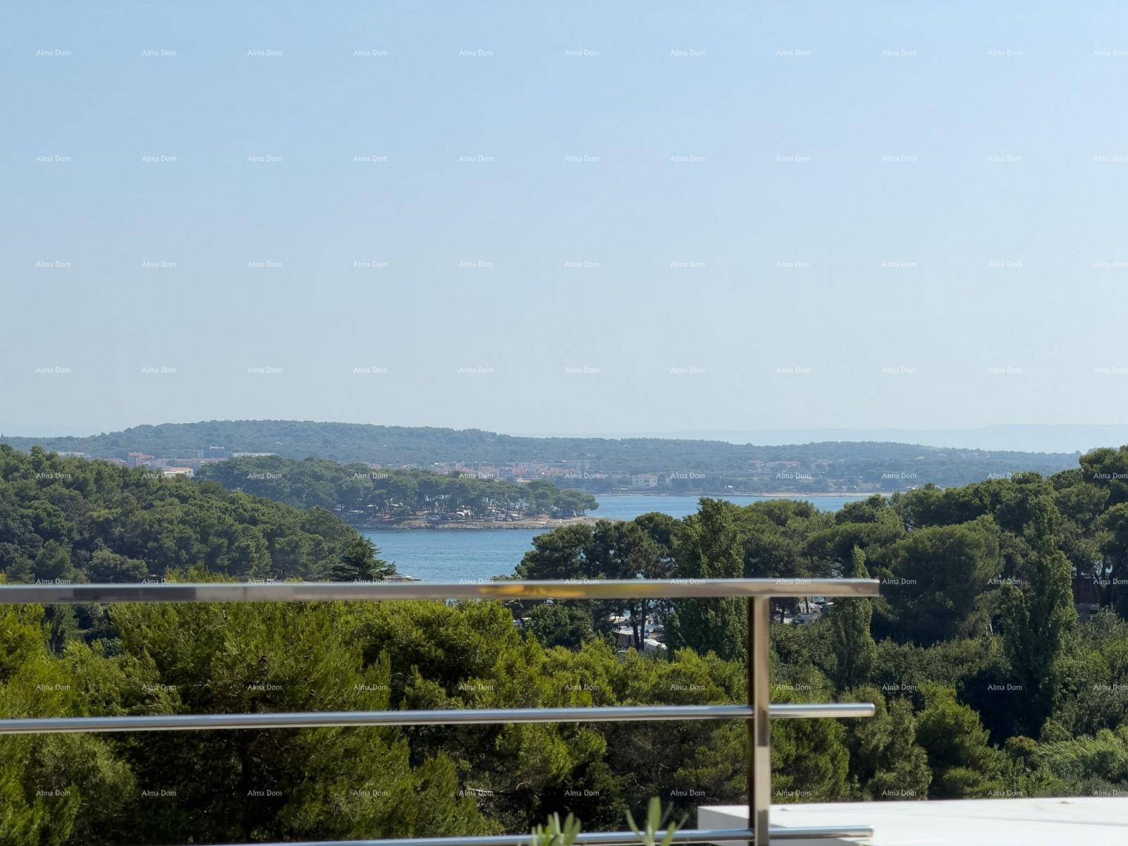 Panoramablick auf das Meer und die bewaldete Küste unter klarem Himmel.