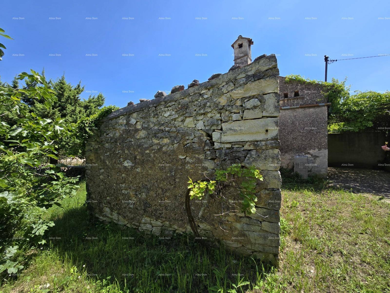 Alte Steinmauer eines Gebäudes umgeben von grüner Vegetation unter blauem Himmel.