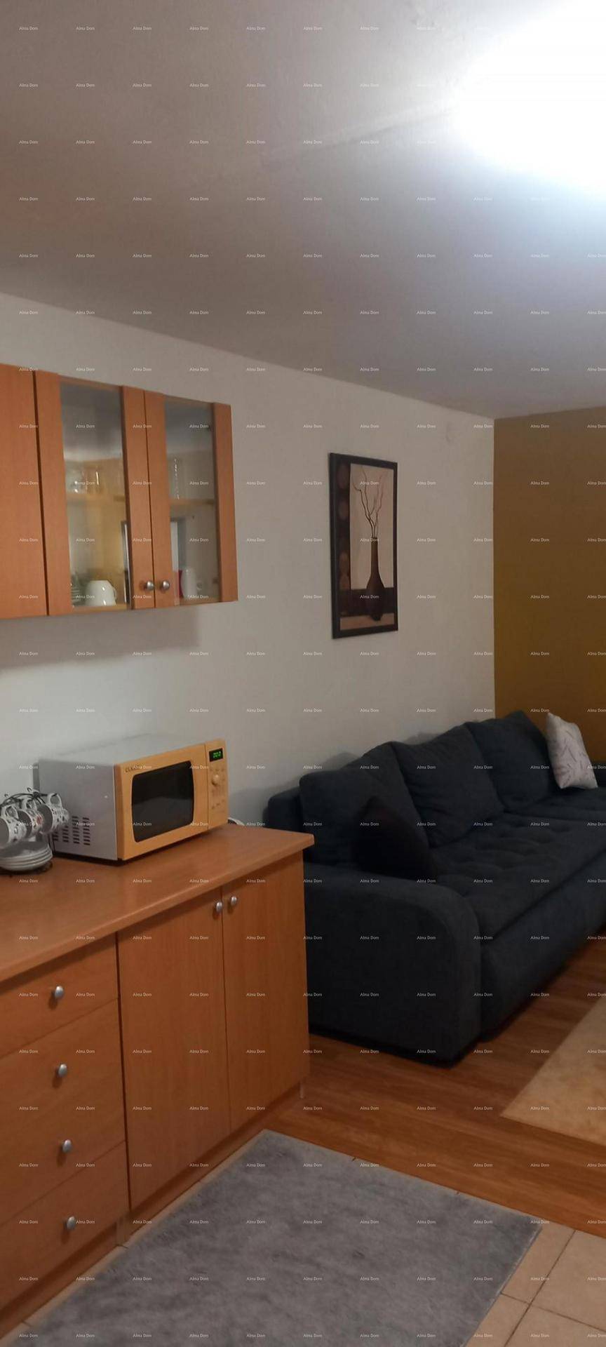 Wohnbereich mit bequemer Couch und angrenzenden Küchenschränken mit Mikrowelle.