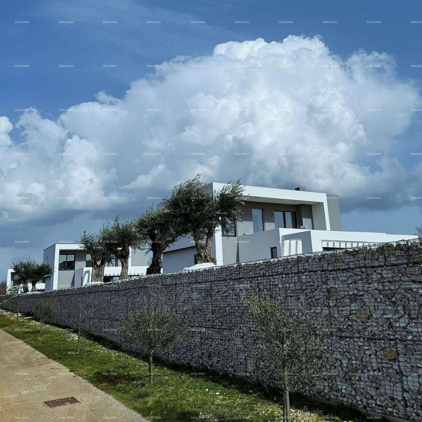 Moderne Architektur mit Gabionenmauer und Olivenbäumen unter einem bewölkten Himmel.