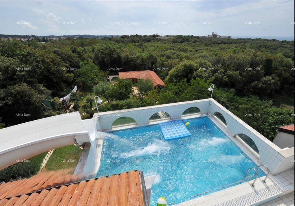 Großer Swimmingpool mit Wasserrutsche und weitem Blick über grüne Wälder bis zum Horizont.