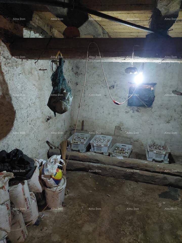 Dunkler Lagerraum mit unverputzten Wänden, Holzbalken und gelagerten Kisten, beleuchtet von einer Glühbirne.