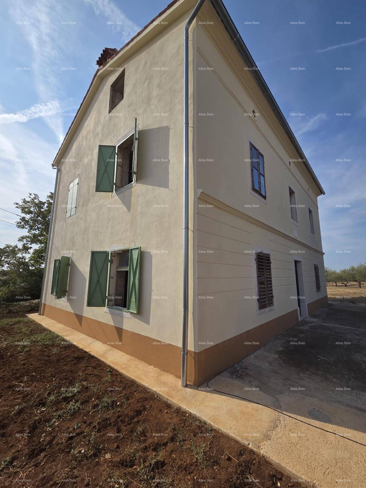 Seitenansicht des Gebäudes mit hellbeiger Fassade, grünen Fensterläden und einem Dach mit Ziegeln.