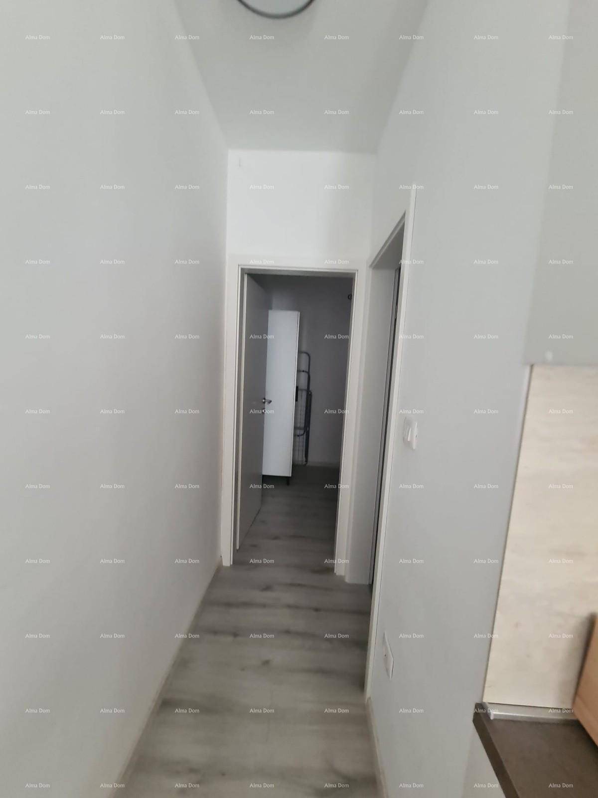 Heller Flur mit Laminatboden, der zu weiteren Räumen führt.