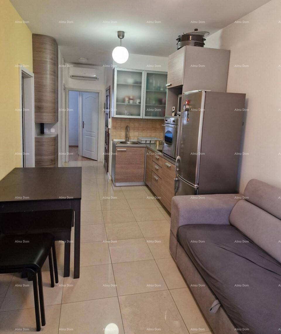 Offener Wohnbereich mit integrierter Küche, Essbereich und gemütlichem Sofa.