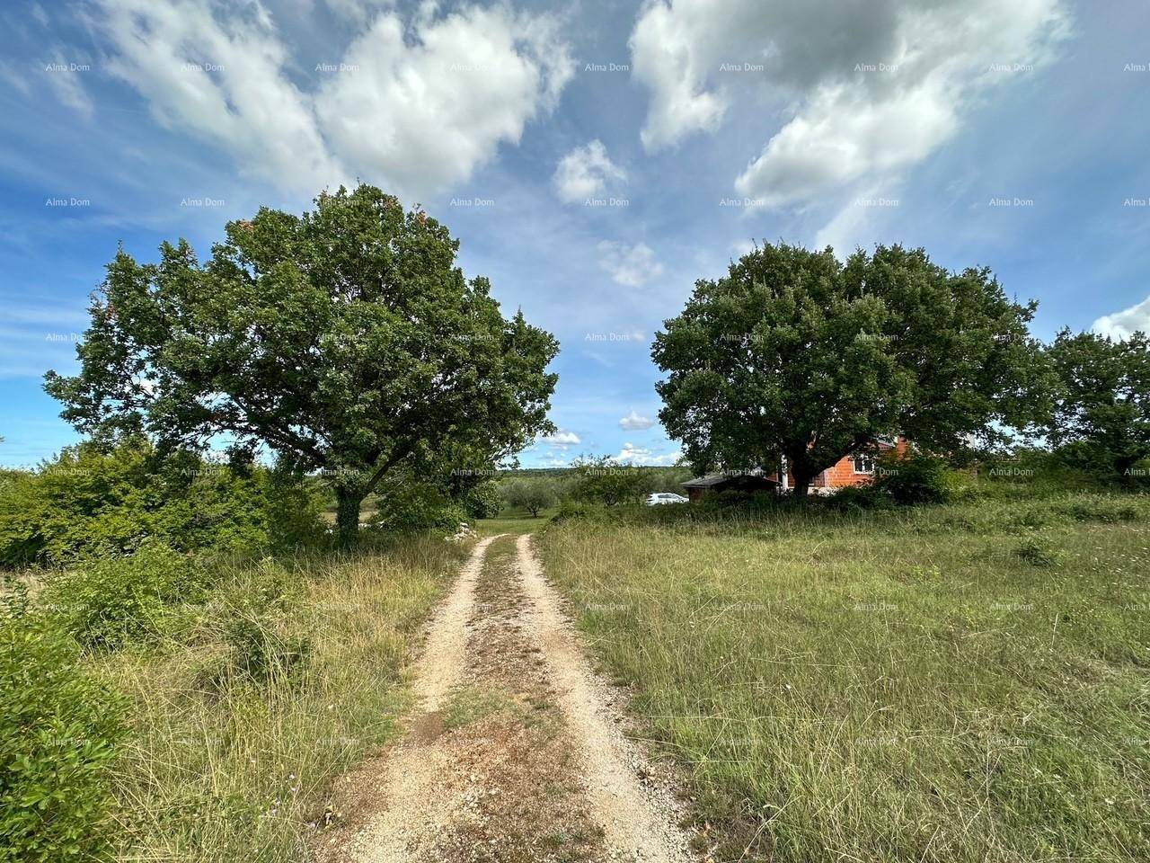 Feldweg führt durch eine grüne Landschaft mit Bäumen unter einem weiten Himmel.