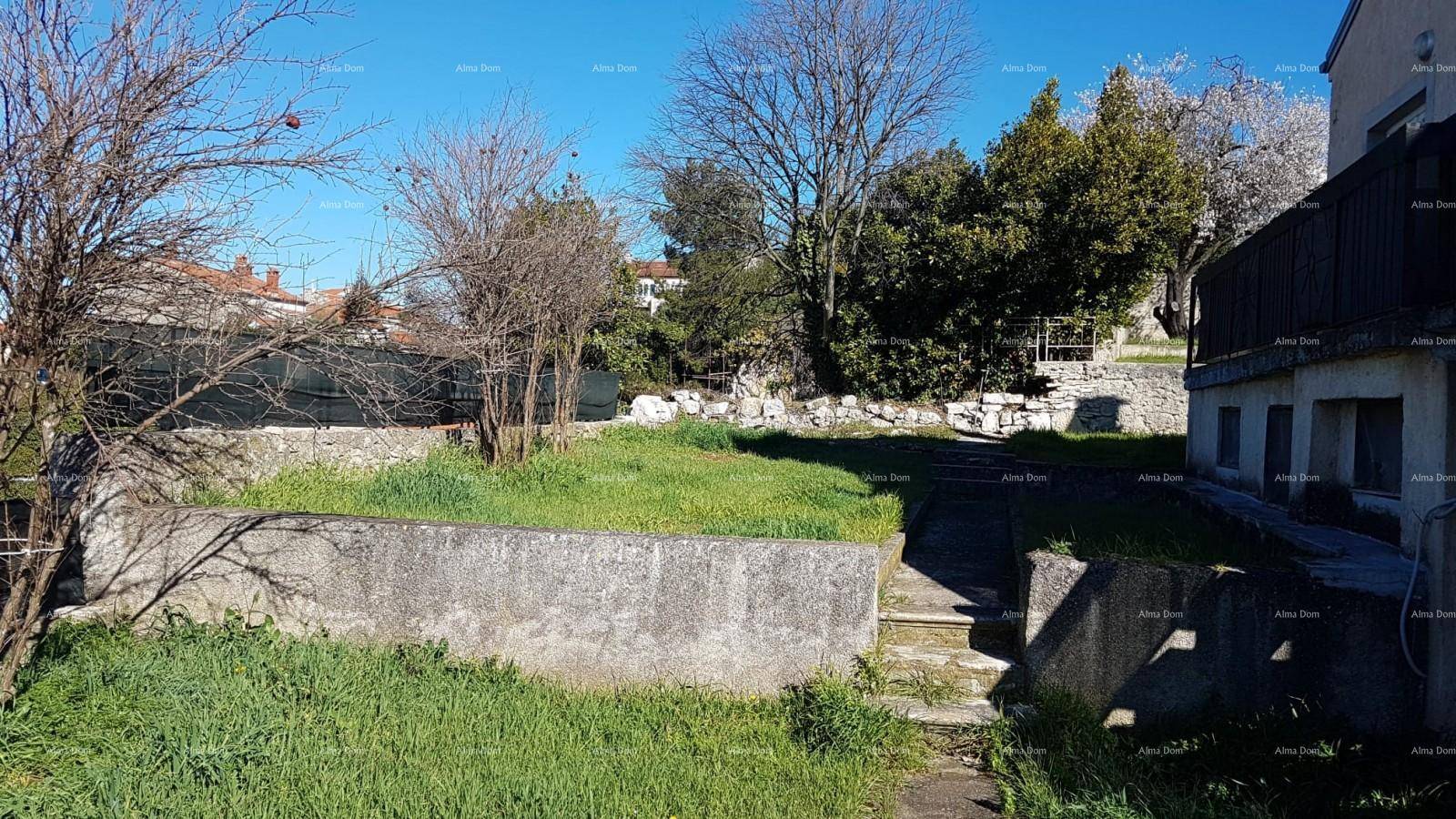 Gartenbereich mit Betonmauern, Stufen und Bäumen, der eine terrassierte Landschaft zeigt.