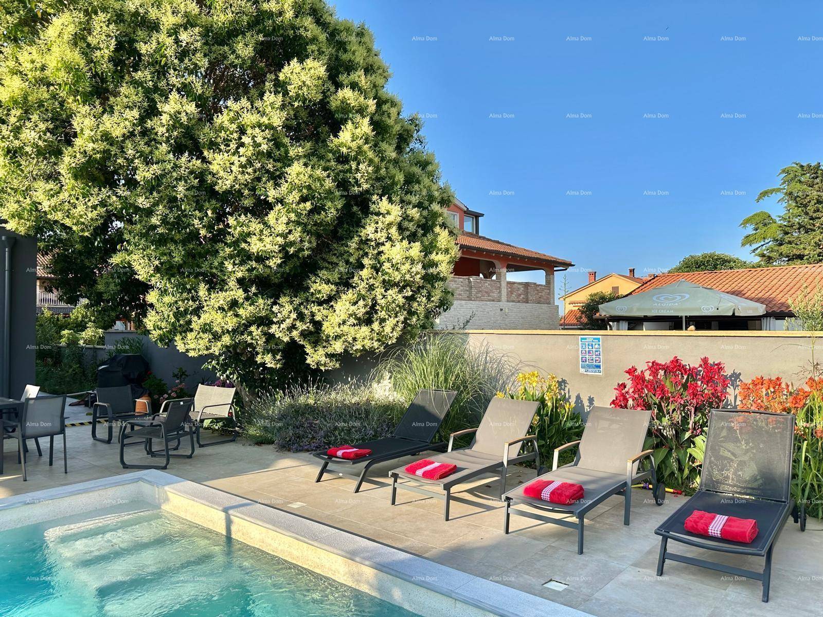 Poolbereich mit Sonnenliegen und Blick auf das Haus, umgeben von üppiger Vegetation und einem großen Baum.