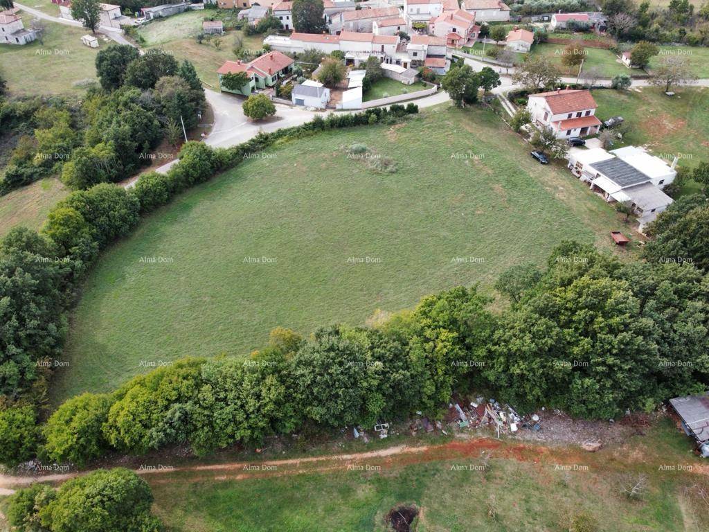 Luftaufnahme eines weitläufigen grünen Feldes, umgeben von dichter Vegetation und einem kleinen Dorf, mit Solaranlage.