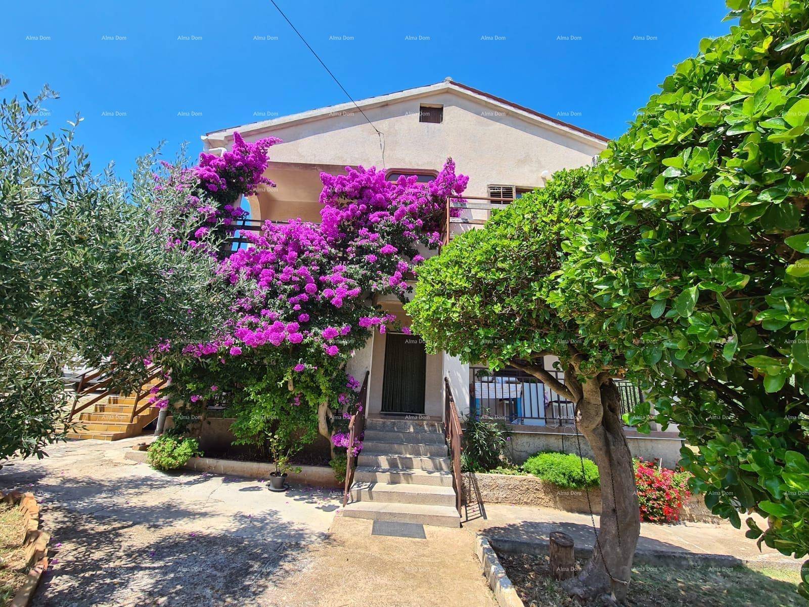 Charmantes Haus mit üppiger lila Bougainvillea und grünen Bäumen im Vorgarten.