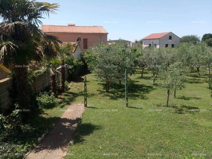 Weitläufiger Garten mit Olivenbäumen und Palmen, umgeben von weiteren Wohnhäusern in der Ferne.