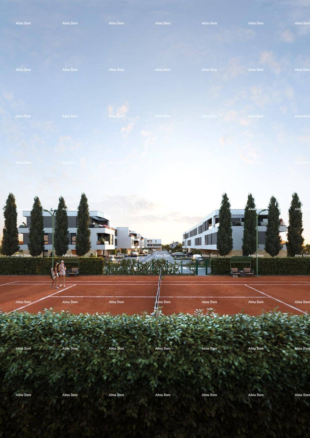 Slide 5