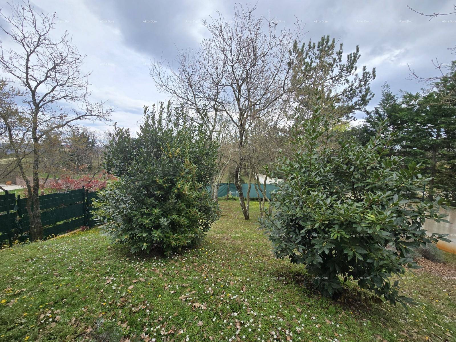Grüner Gartenbereich mit verschiedenen Bäumen und Sträuchern, umgeben von einer niedrigen Hecke.