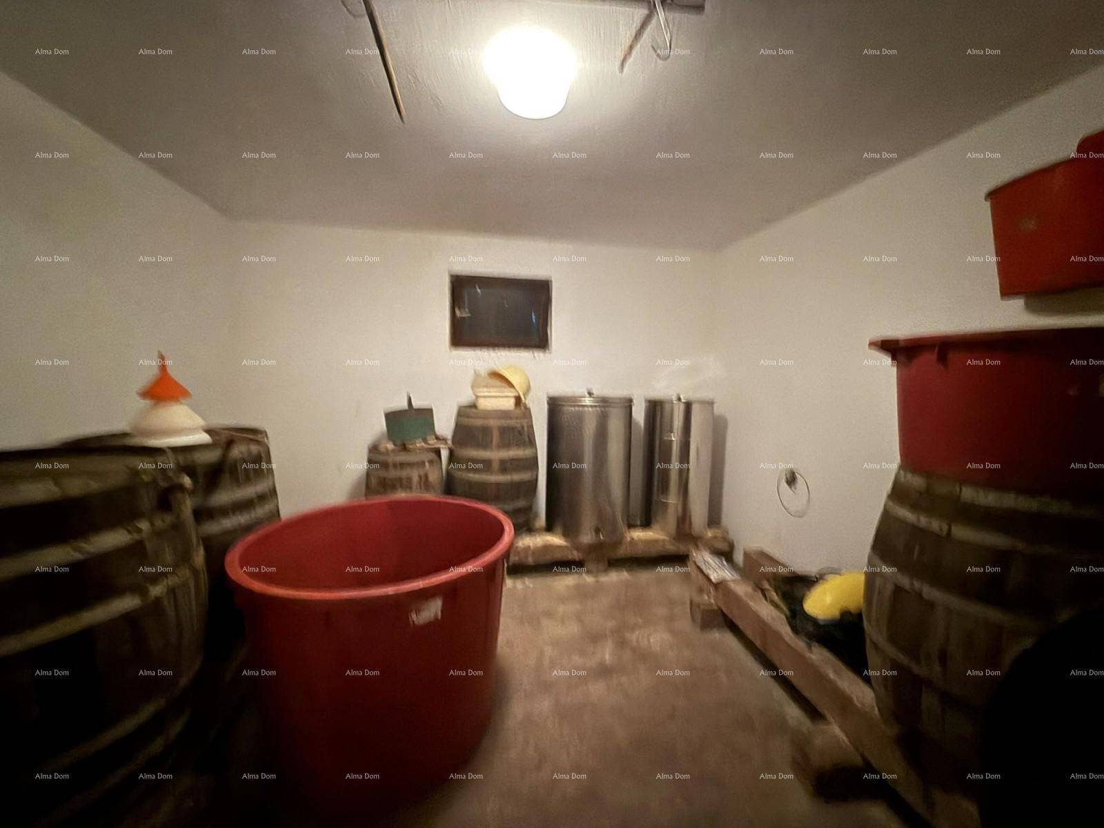 Kellerraum mit Holzfässern und großen Behältern, möglicherweise für Weinlagerung.