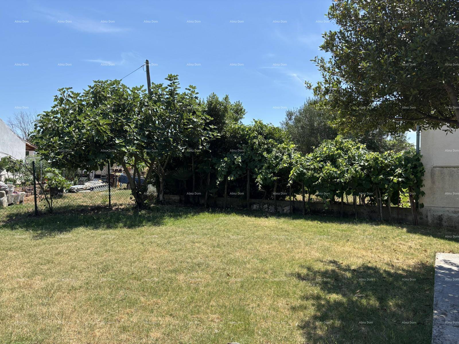 Gartenbereich mit Obstbäumen und üppigem Grün unter strahlend blauem Himmel.