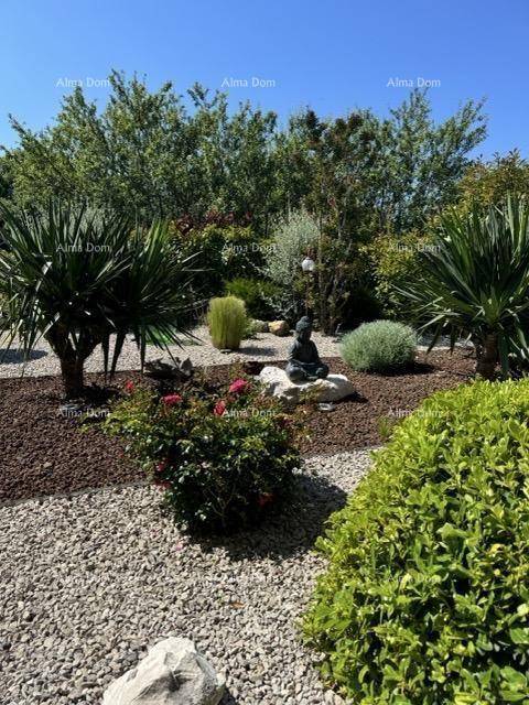 Mediterraner Garten mit Kieswegen, verschiedenen Pflanzen und einer Buddha-Statue.