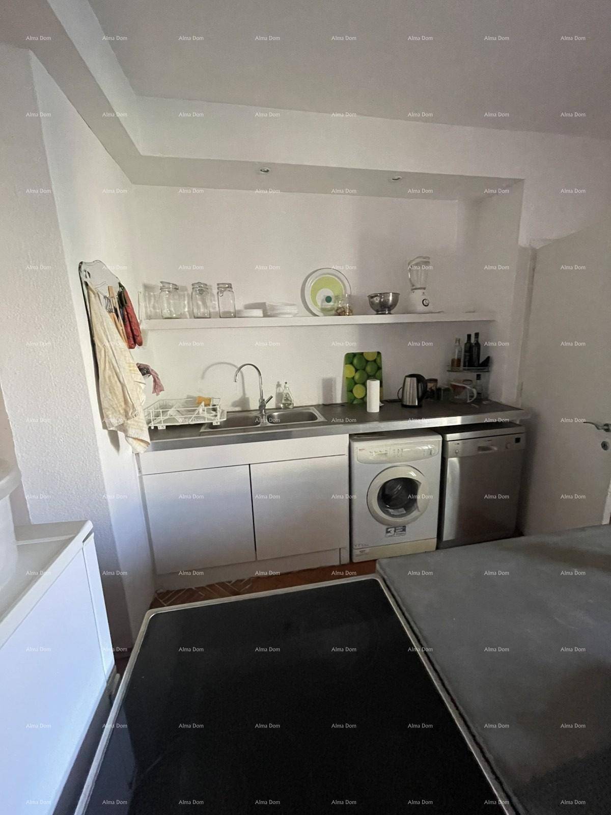 Funktionale Küchenzeile mit Spüle, Waschmaschine und Kochfeld, praktisch eingerichtet.