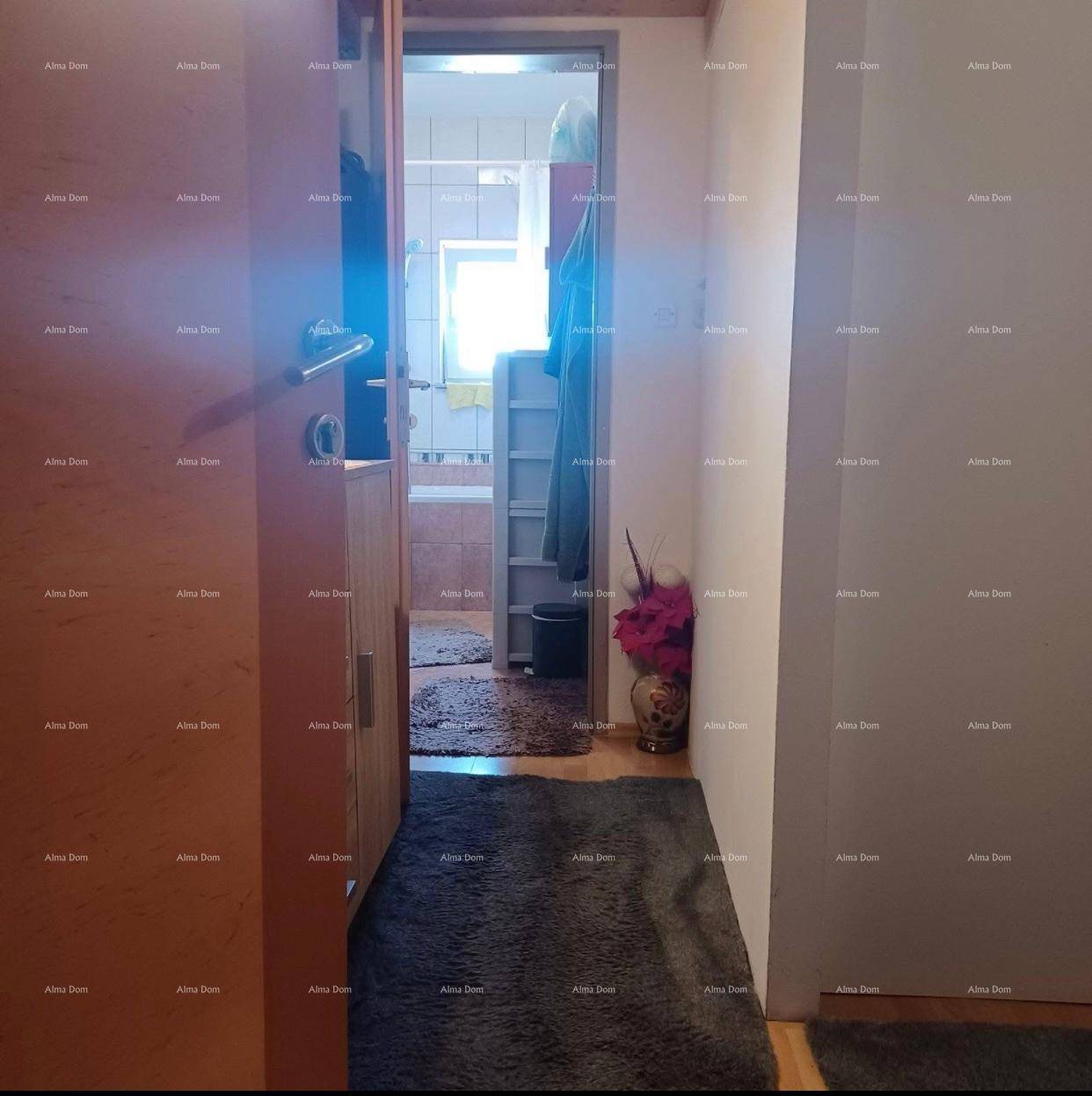 Schmaler Flur mit Holztür, der zu einem Badezimmer führt, ausgestattet mit einem Teppichläufer.