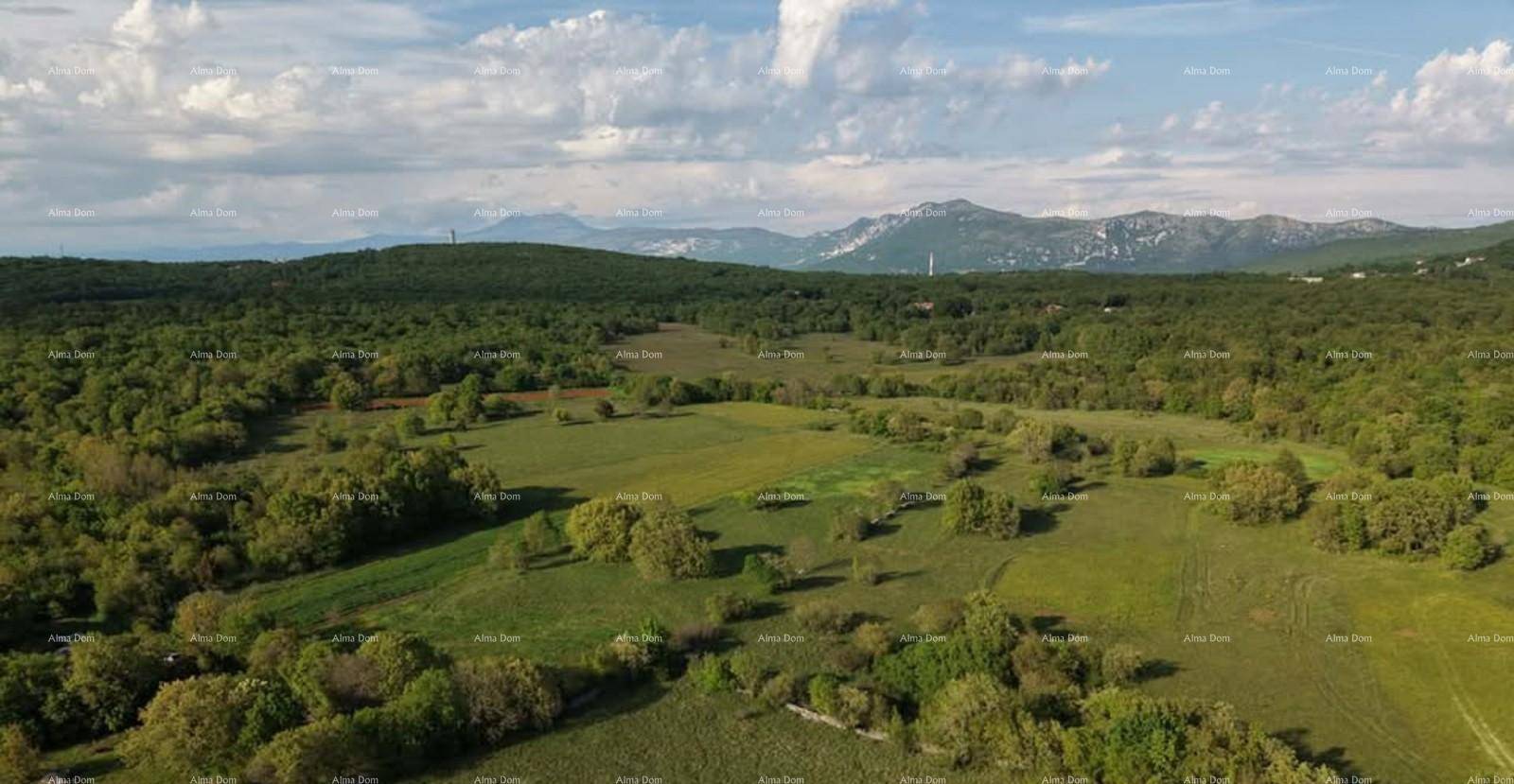 Weitläufige Landschaft mit grünen Hügeln, dichten Wäldern und majestätischen Bergen am Horizont unter blauem Himmel.