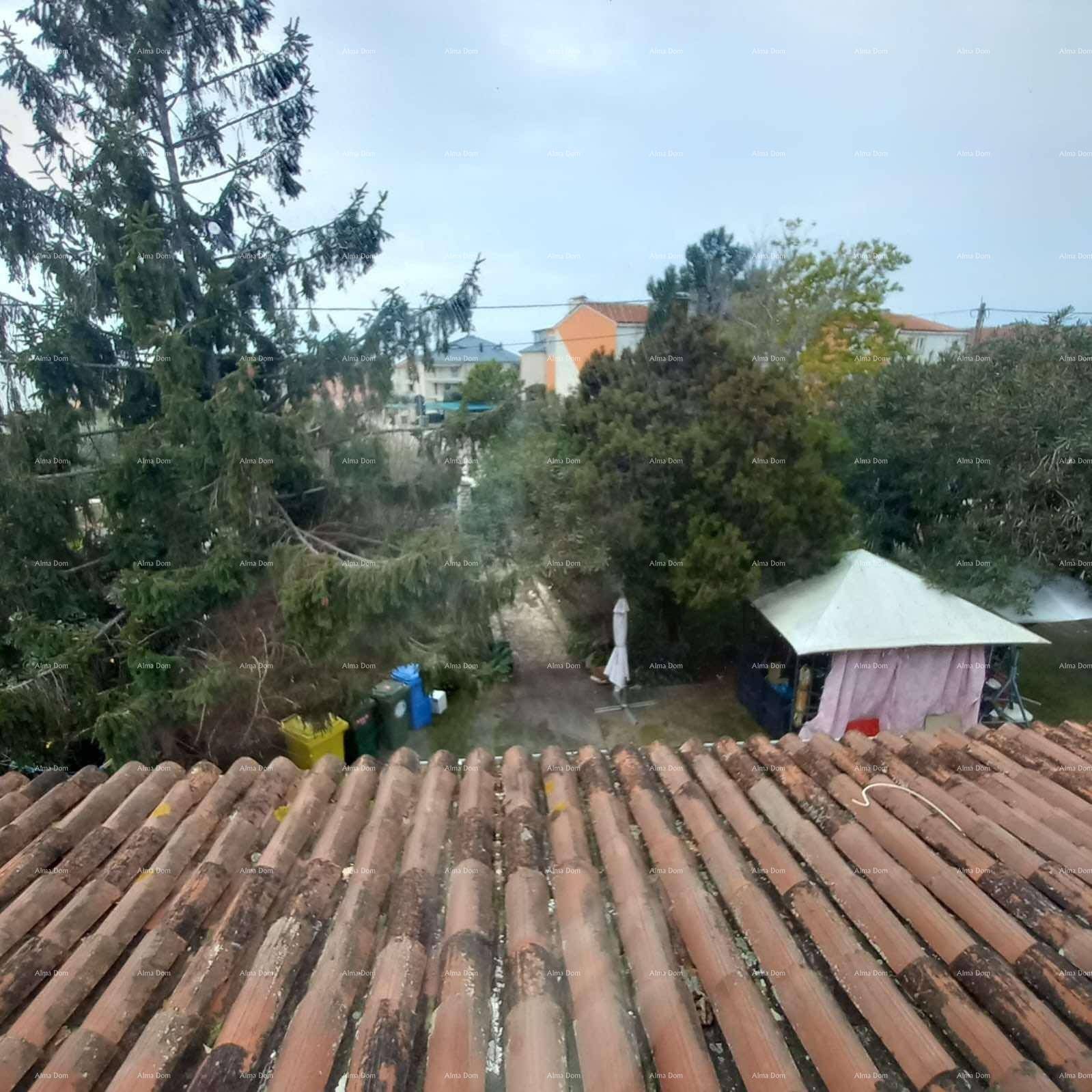 Blick von oben auf einen grünen Garten mit Bäumen und einem kleinen Gartenhaus.