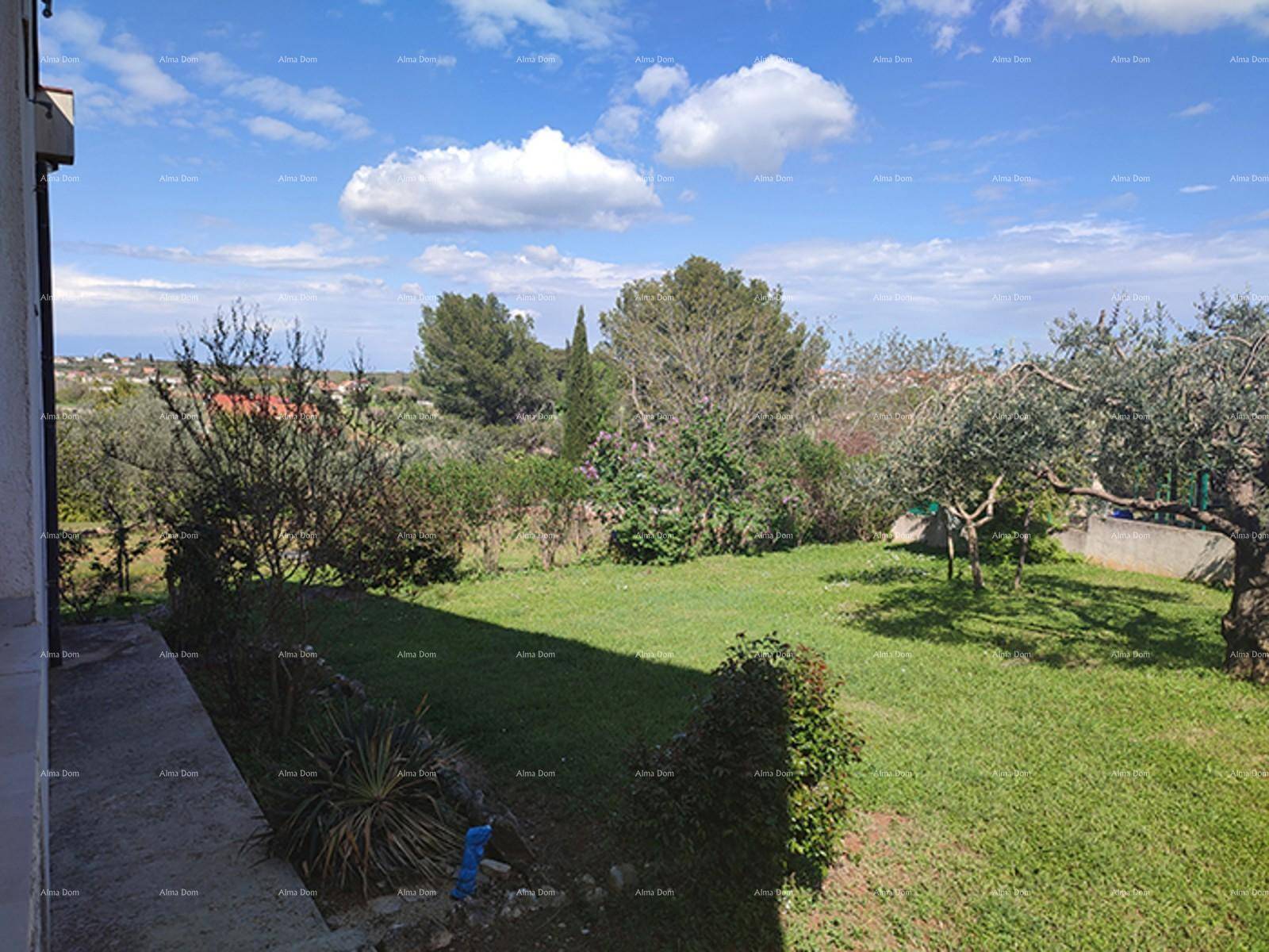 Großer, grüner Garten mit Rasenflächen, Bäumen und Sträuchern unter einem blauen Himmel.