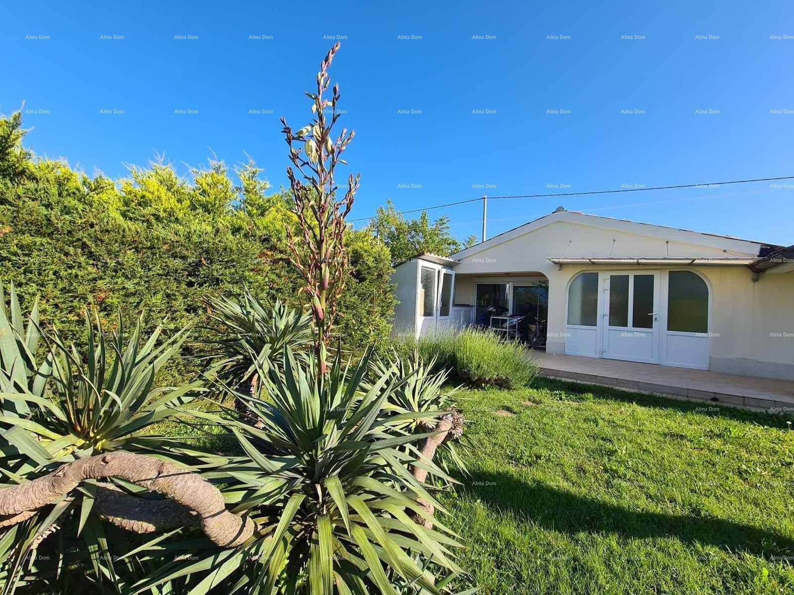 Gepflegter Garten mit mediterranen Pflanzen und der Hausfassade im Hintergrund unter klarem Himmel.