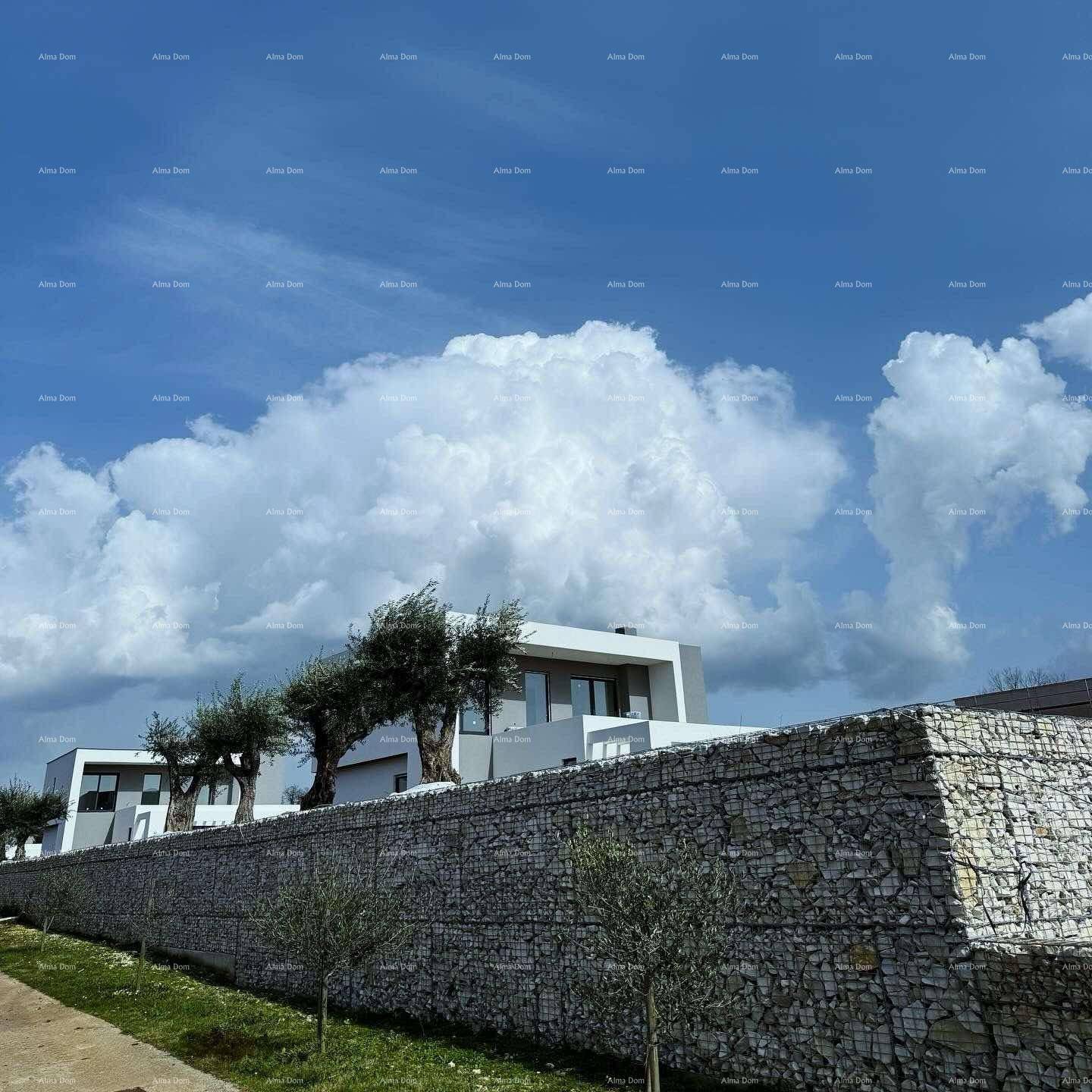 Neubauhäuser mit moderner Fassade, Gabionenmauer und mediterranen Olivenbäumen.