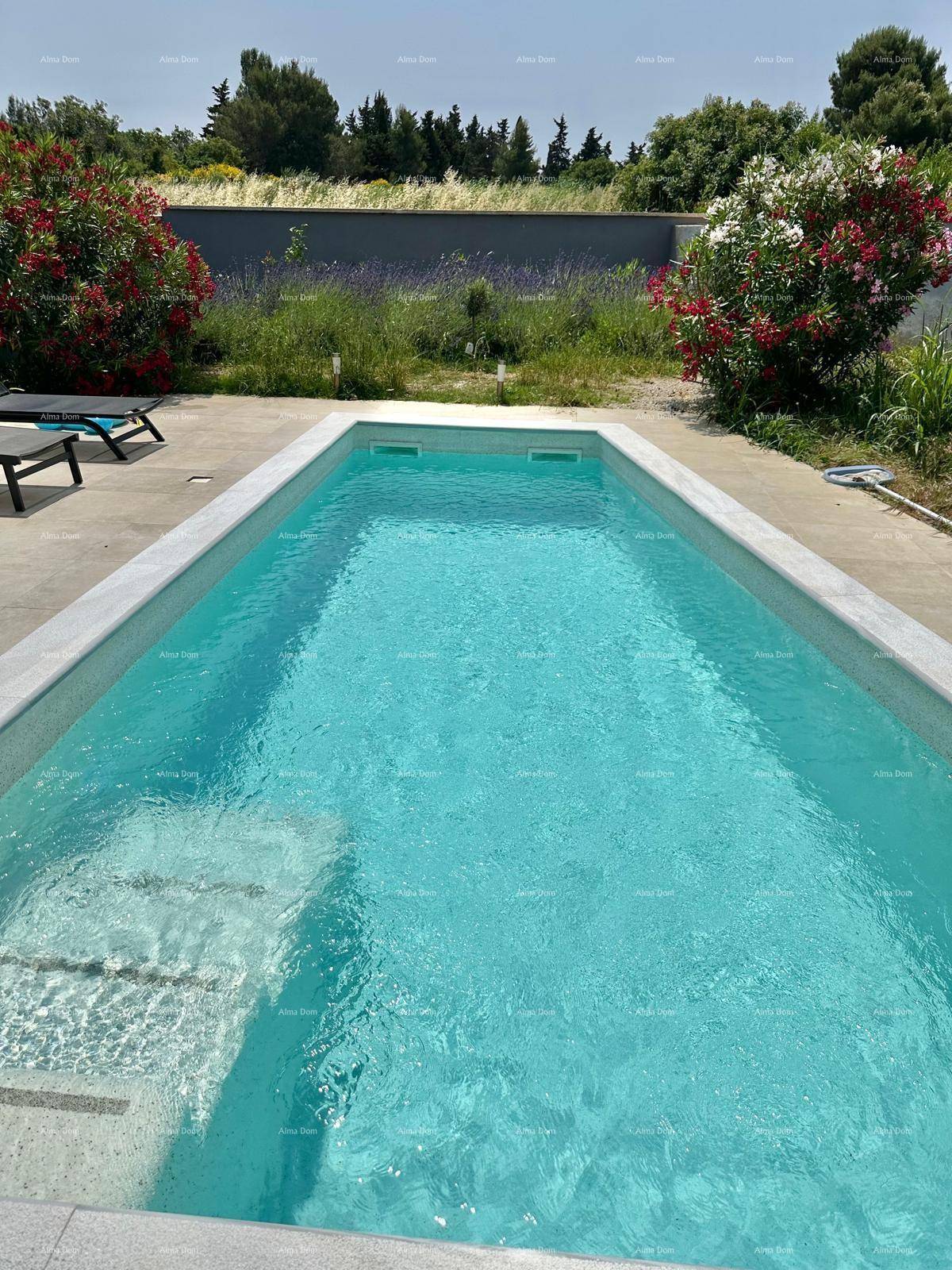 Geradliniger Pool mit Stufen und umgebenden blühenden Pflanzen unter klarem Himmel.