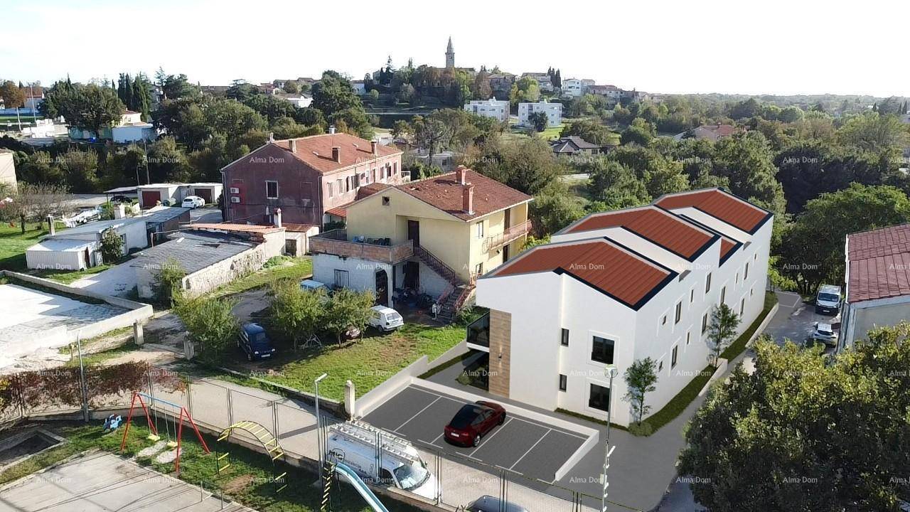 Slide 8