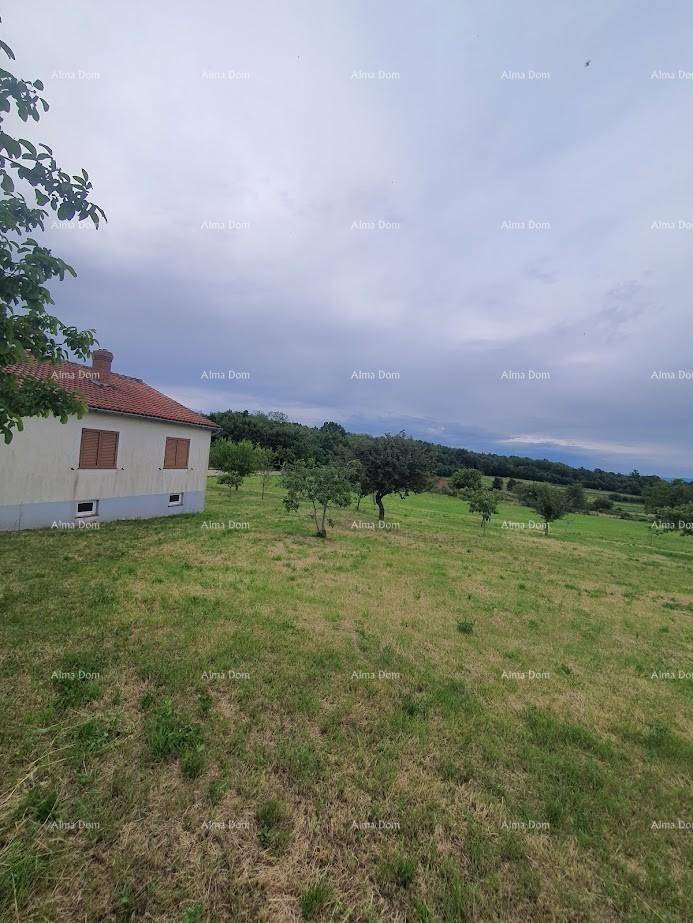 Weitläufige grüne Landschaft mit vereinzelten Bäumen und einem Teil des Hauses am Horizont.