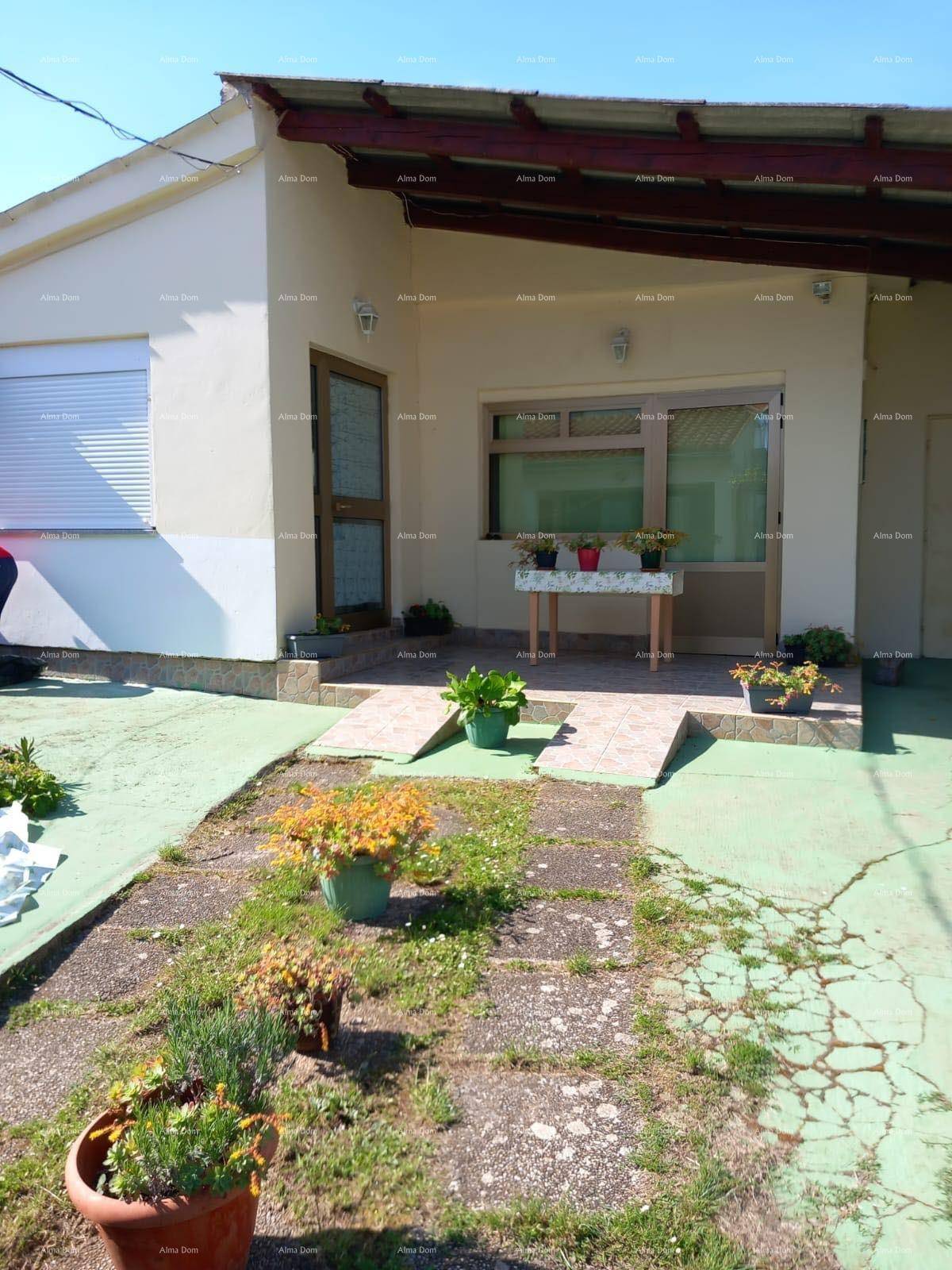 Eingangsbereich des Hauses mit kleiner Terrasse und Topfpflanzen, einladend gestaltet.