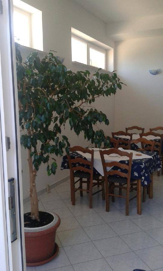 Gemütlicher Speisesaal mit Holztischen, blauen Tischdecken und einer großen Zimmerpflanze, die den Raum belebt. 