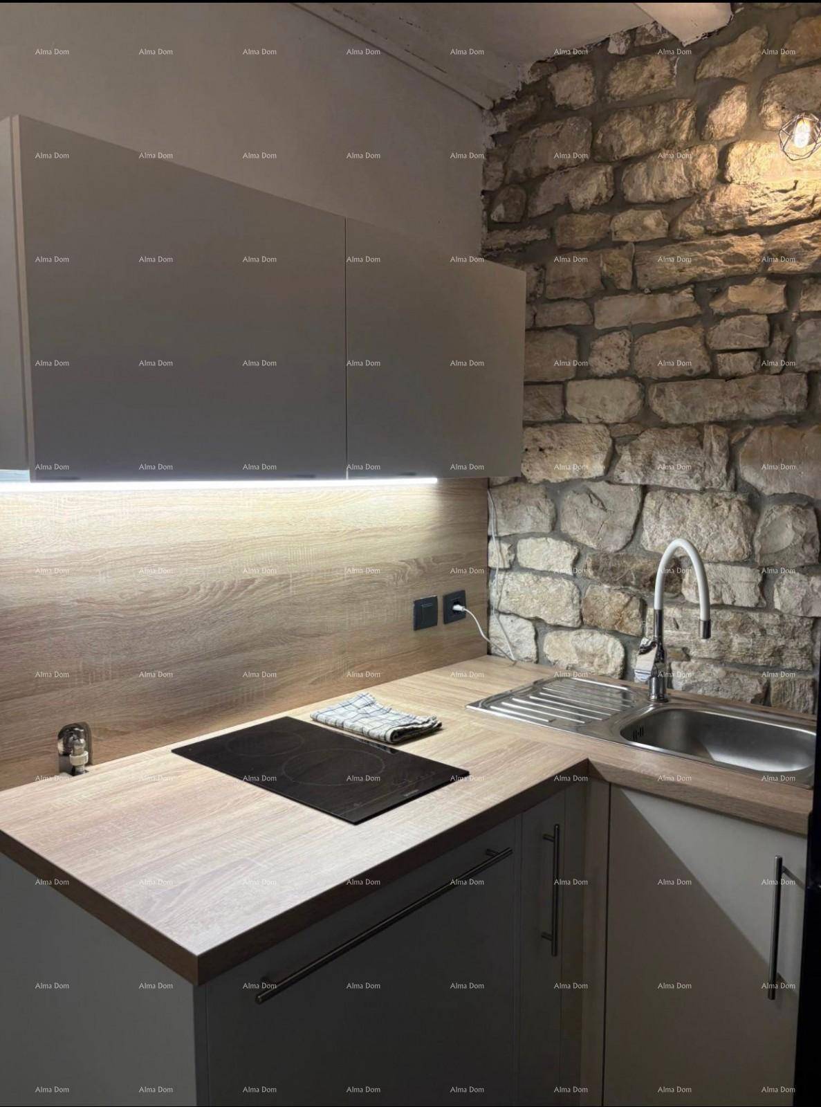 Kleine Küche mit Induktionskochfeld, Spüle, Holz-Arbeitsplatte und rustikaler Steinwand.