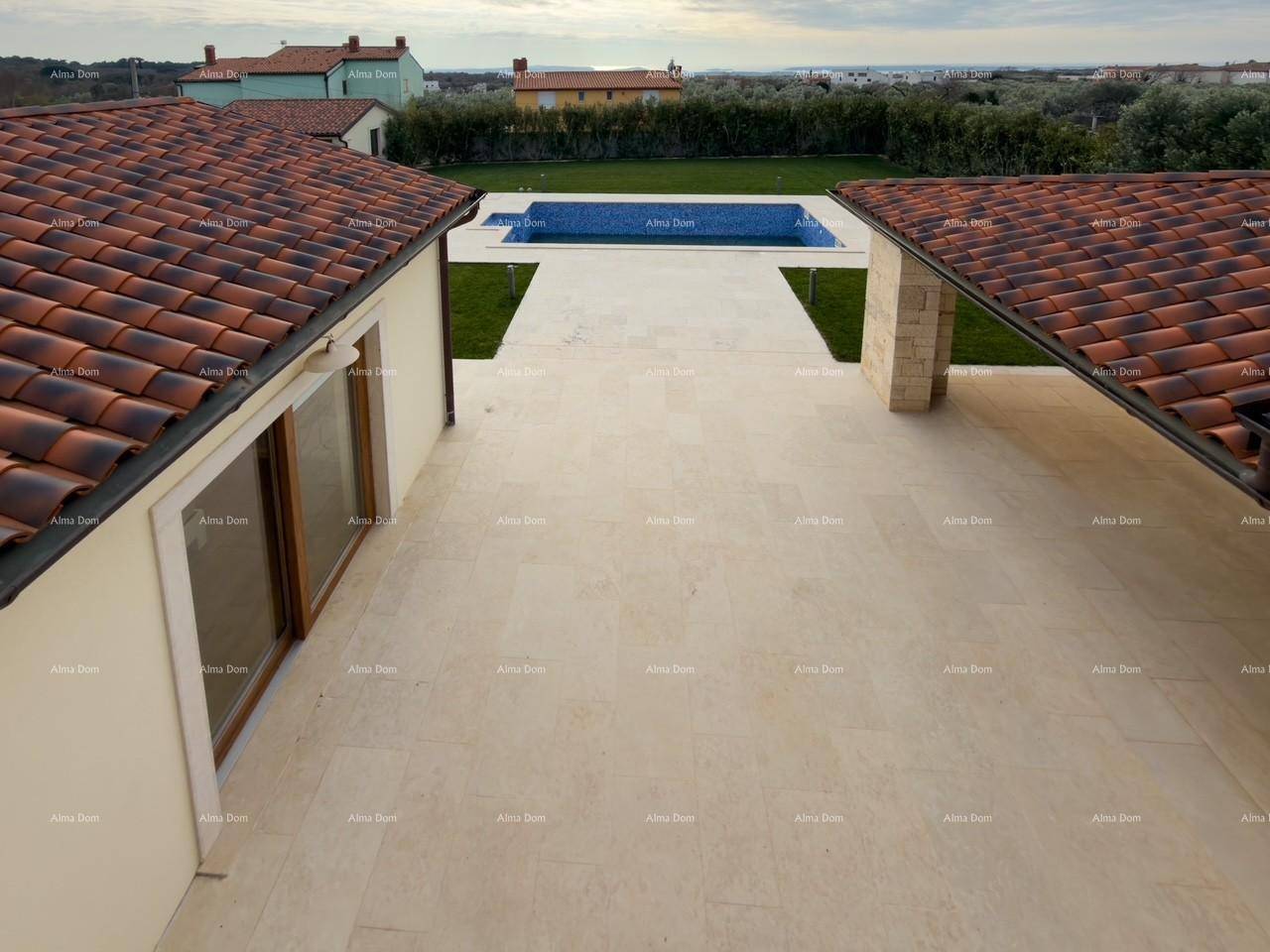 Weitläufiger Außenbereich mit großzügiger Terrasse, Swimmingpool und gepflegtem Rasen.
