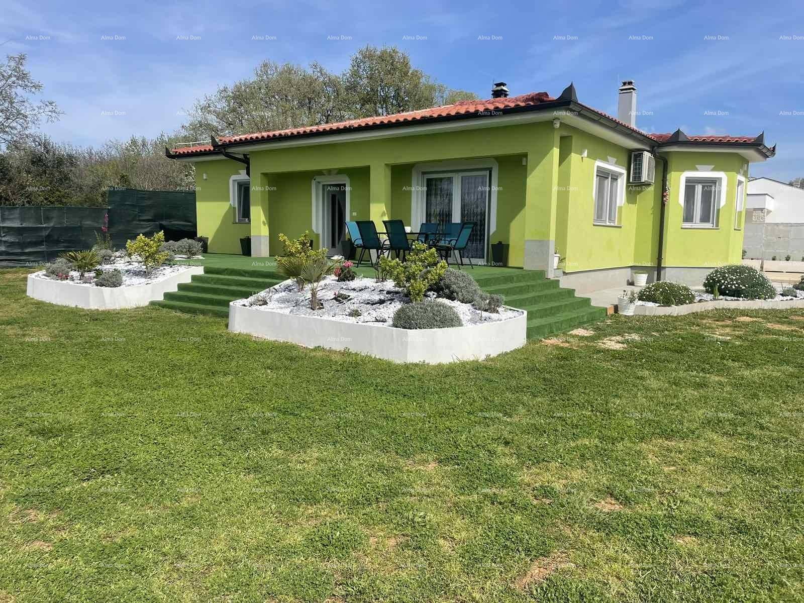 Weitläufiger Garten mit gepflegtem Rasen, einem modernen Haus mit grüner Fassade und dekorativen Pflanzenbeeten.