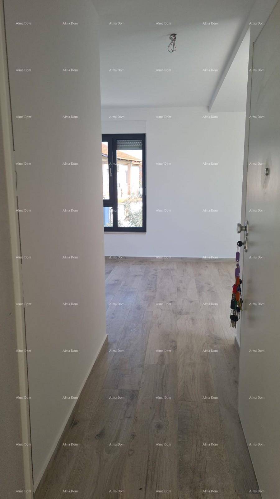 Eingangsbereich mit Holzboden, weiß gestrichenen Wänden und einem Fenster.