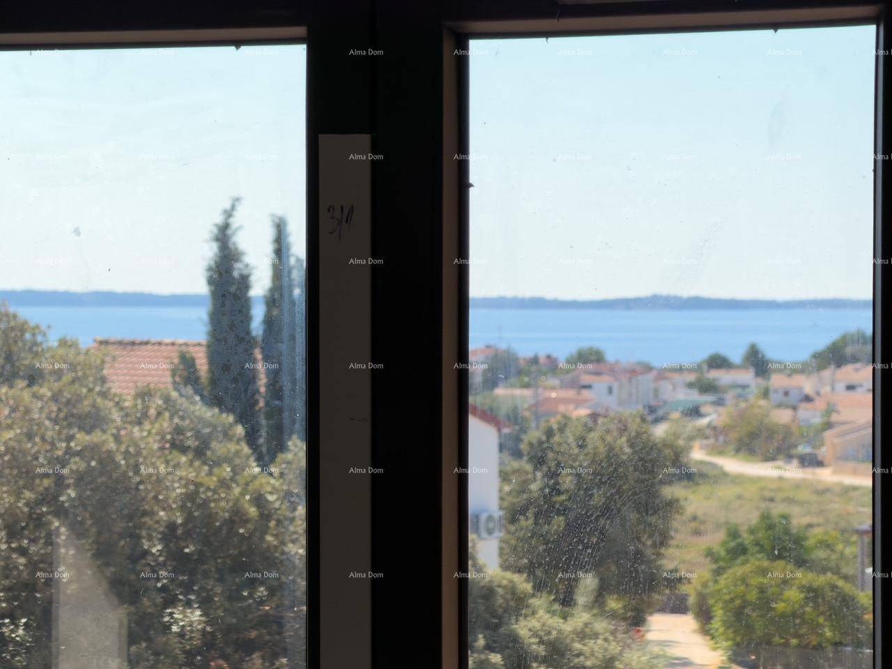 Panoramablick aus dem Fenster auf das glitzernde Meer und die grüne Küstenlinie.