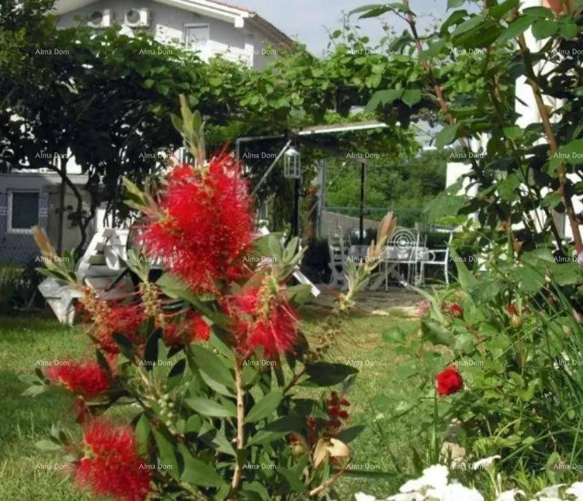Üppiger Garten mit exotischen Pflanzen und einem schattigen Essbereich im Hintergrund.