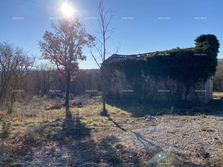 Verfallenes Gebäude mit überwuchertem Dach und Bäumen in einer sonnigen, ländlichen Landschaft.