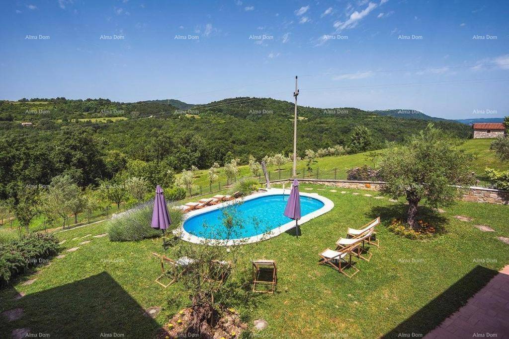 Panoramablick auf den Poolbereich und den weitläufigen Garten mit Olivenbäumen und grünen Hügeln im Hintergrund.