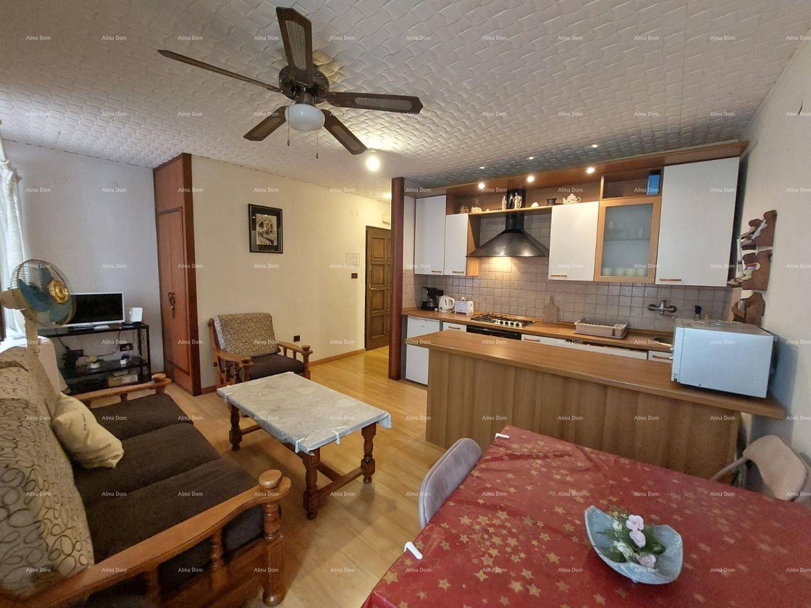 Geräumiger Wohn-Essbereich mit integrierter Küche, Holzmöbeln und Deckenventilator.