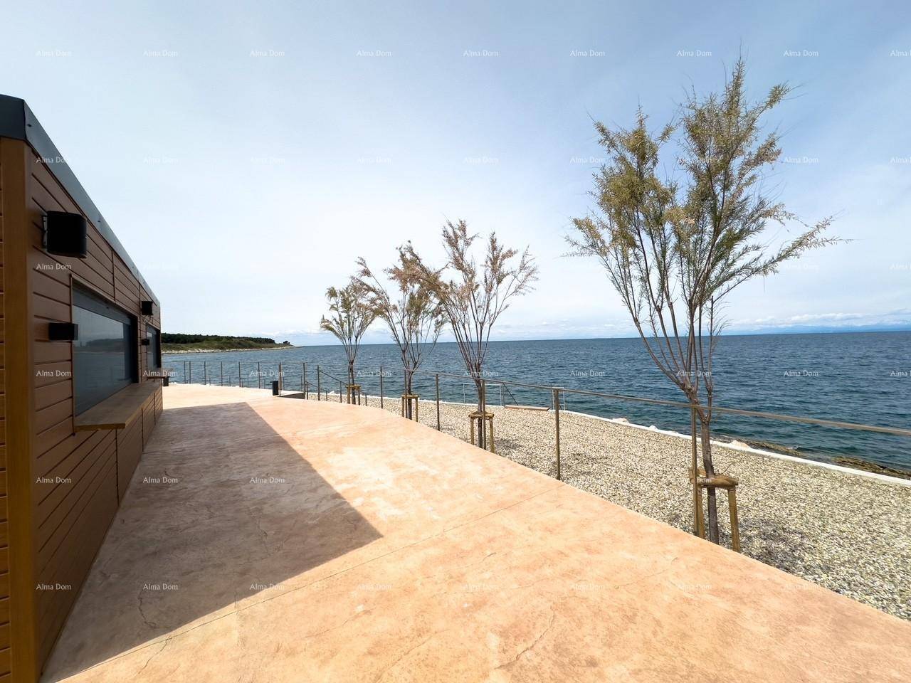 Weitläufige Terrasse am Wasser mit Blick auf das offene Meer und die umliegende Küstenlandschaft.