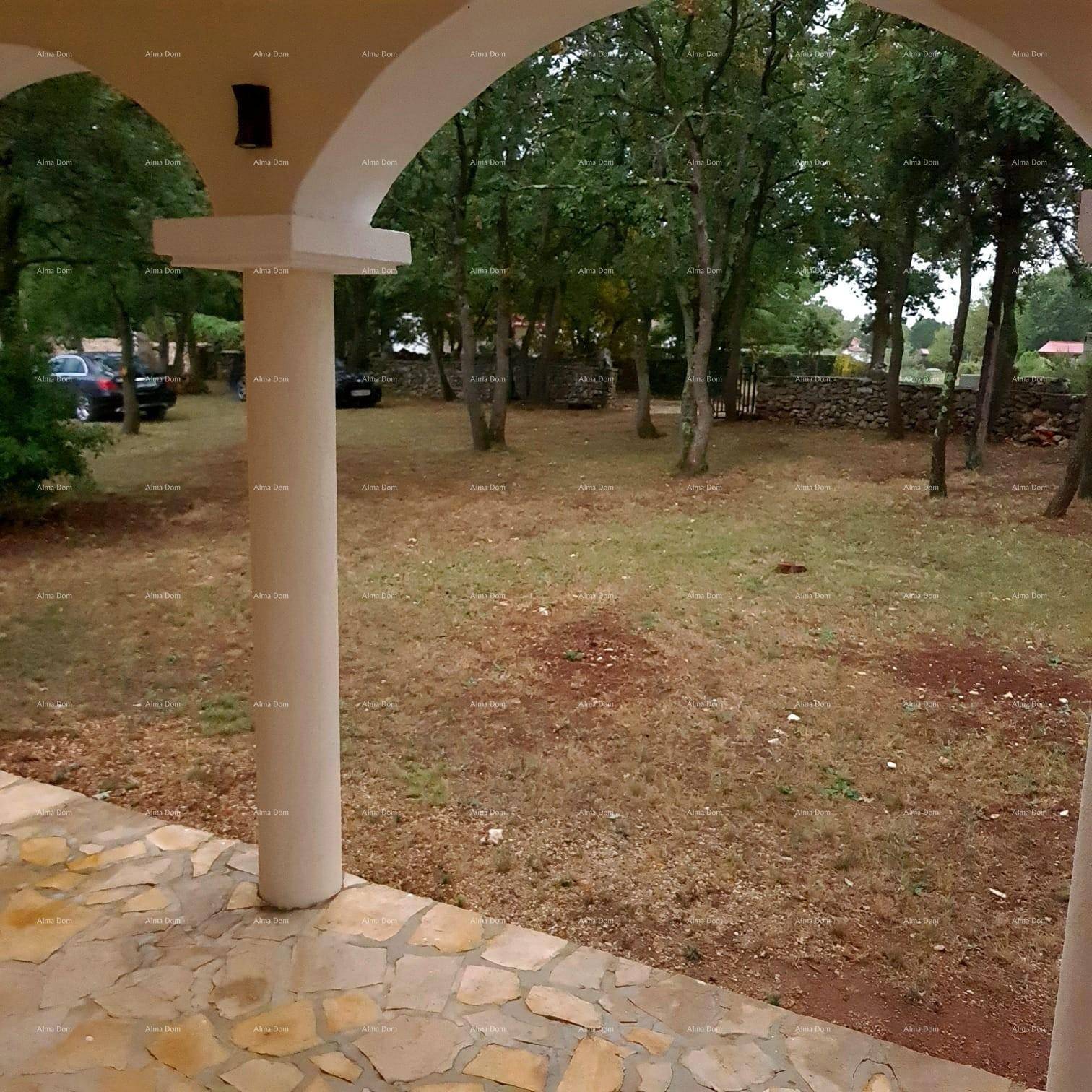 Blick von der überdachten Terrasse auf den weitläufigen Garten mit Bäumen und Grünflächen.