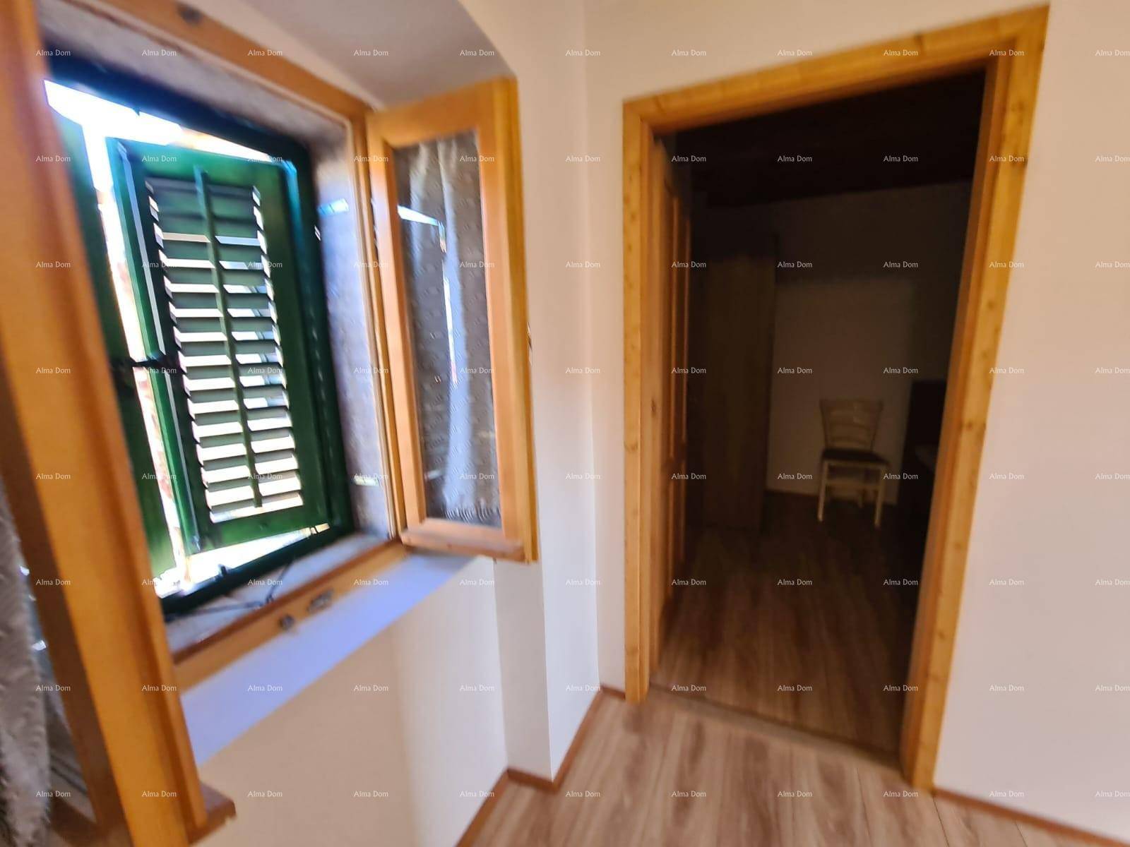 Flur mit Holzboden und Blick in ein Zimmer mit Fenster und traditionellen grünen Fensterläden.