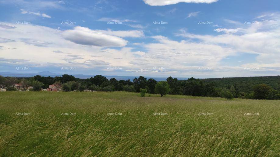 Weites Feld mit hohem Gras, Bäumen und Fernblick auf das Meer unter blauem Himmel mit Wolken.