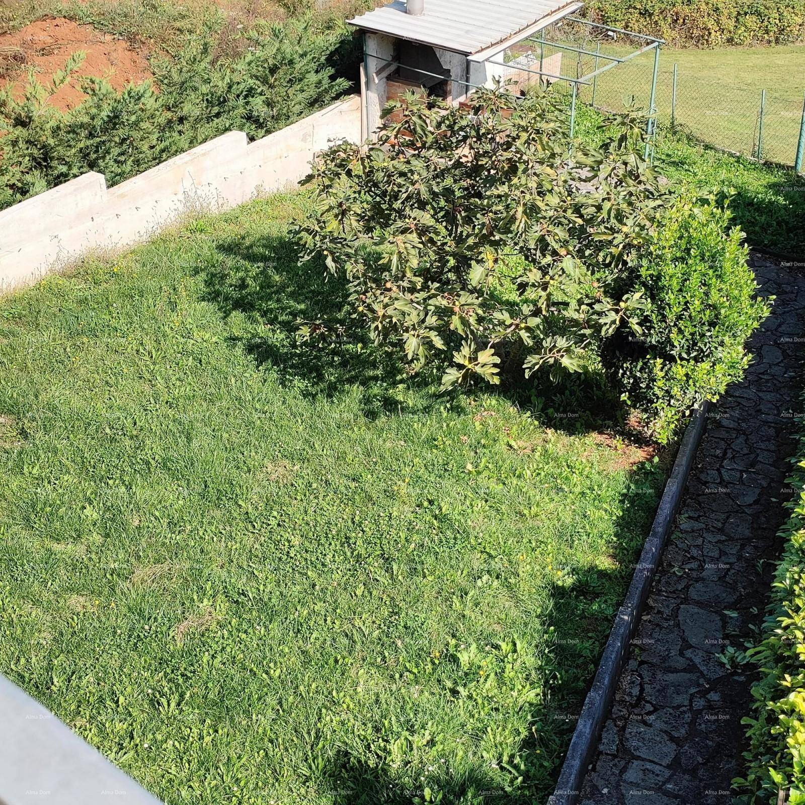Grüner Gartenbereich mit Rasenfläche, einem Obstbaum und einem kleinen Grillplatz im Hintergrund.